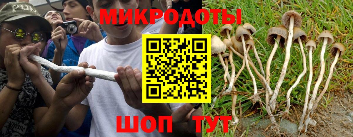 Псилоцибиновые грибы GOLDEN TEACHER  Галлюциногенные грибы Cubensis  Вход с VPN  Волгодонск 