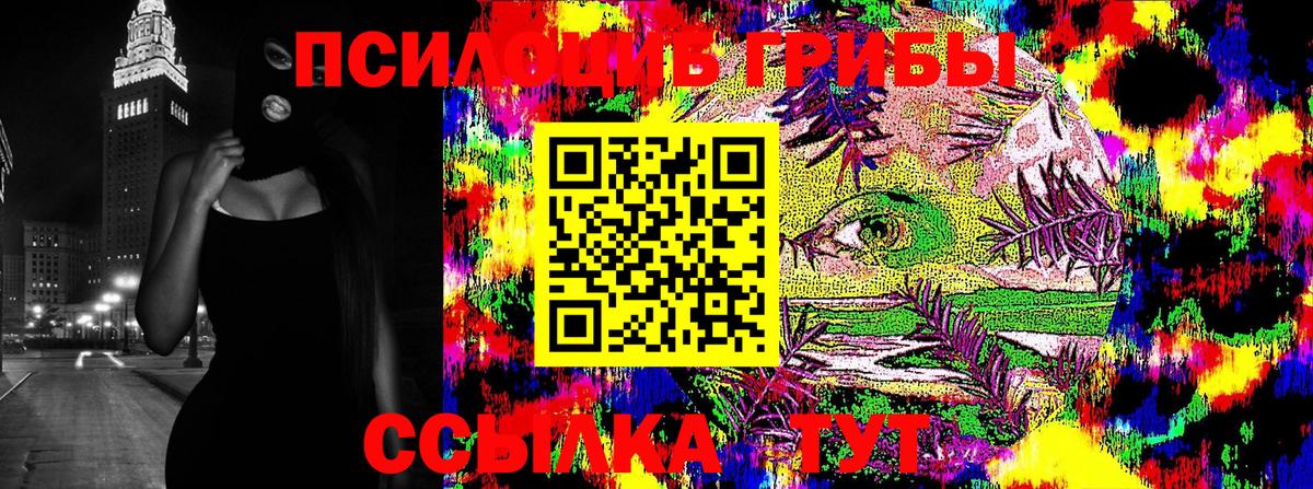Галлюциногенные грибы Magic Shrooms Волгодонск